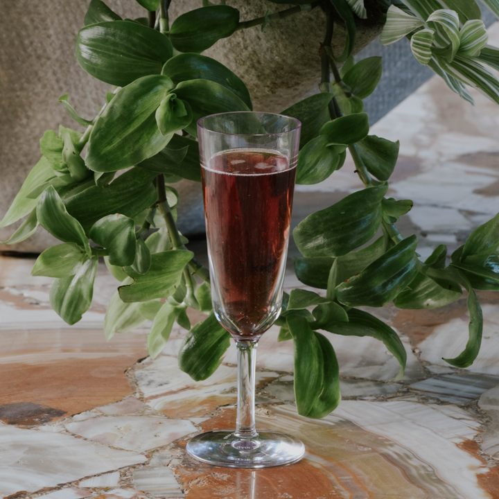 Symglass Entertaining Essentials Bundle - {set of 16}